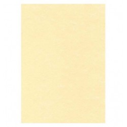 DECADRY Boîte de 50...