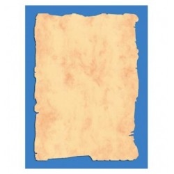 DECADRY Boîte de 50...